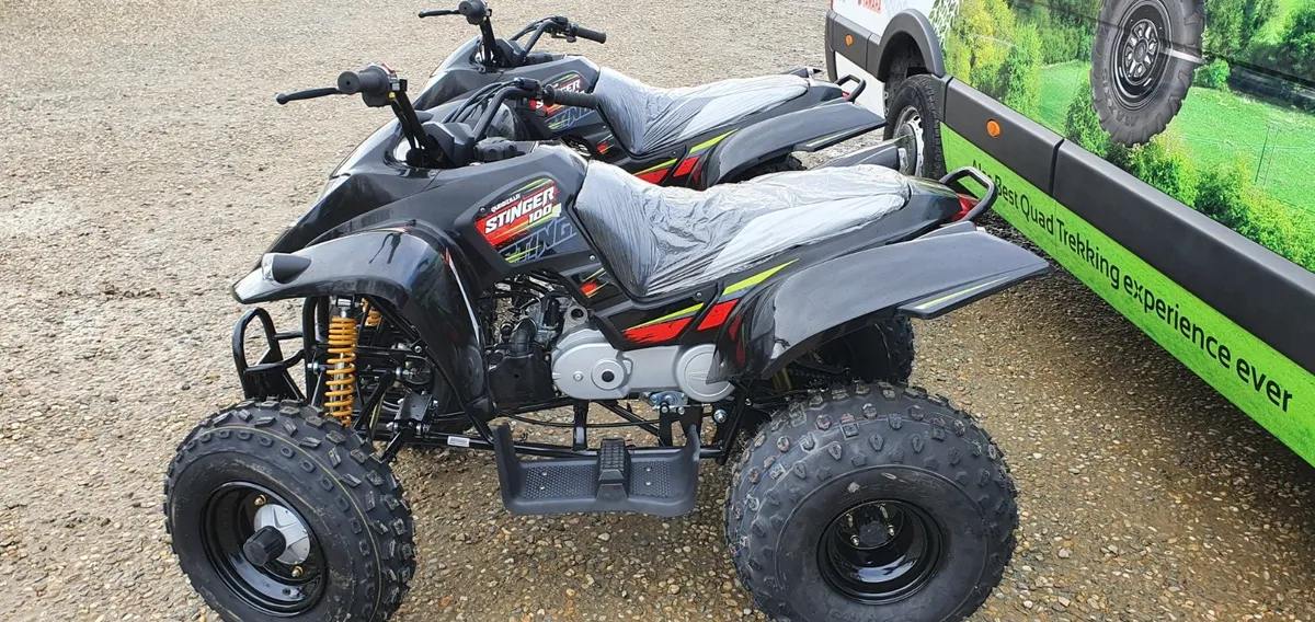 NEW QUADZILLA STINGER 100 - Image 4