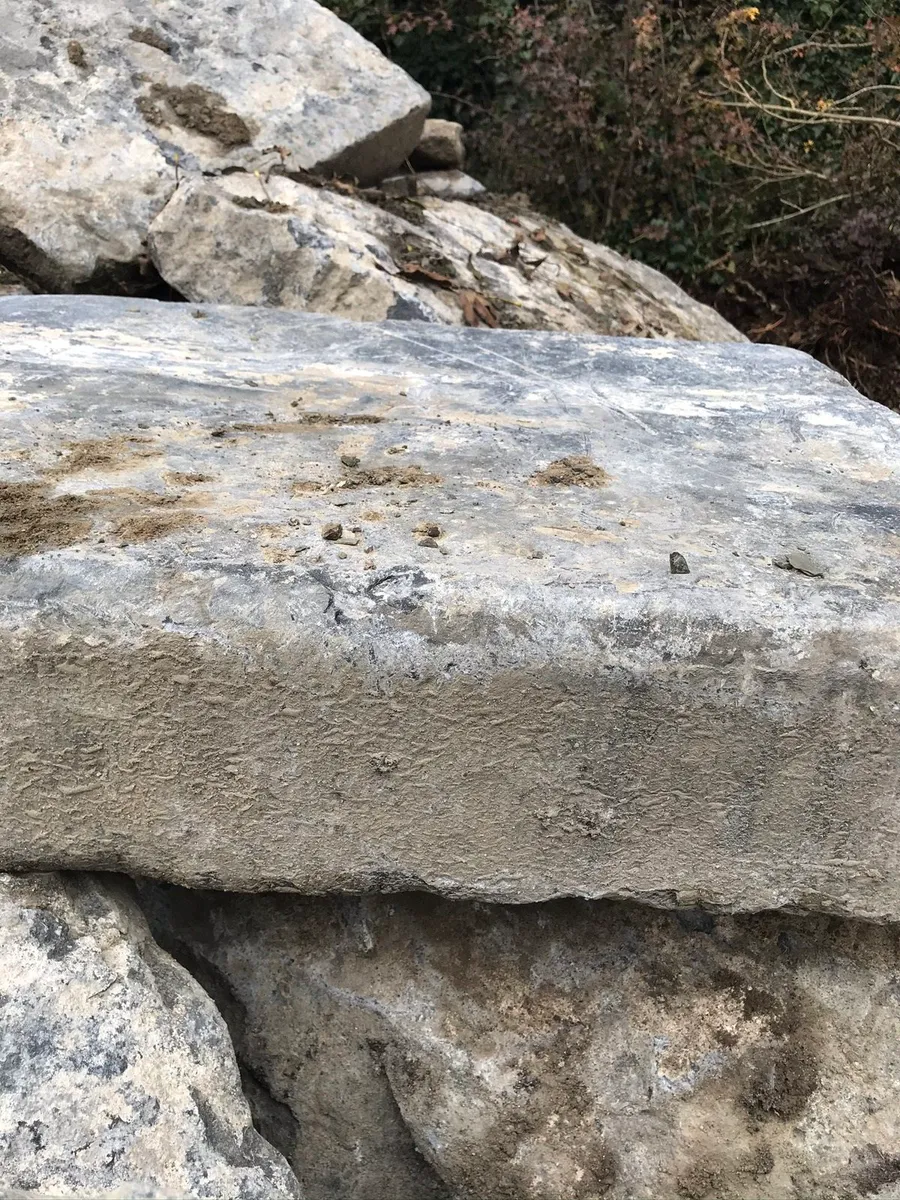 OLD RECLAIMED LIMESTONE STEPS - Image 3