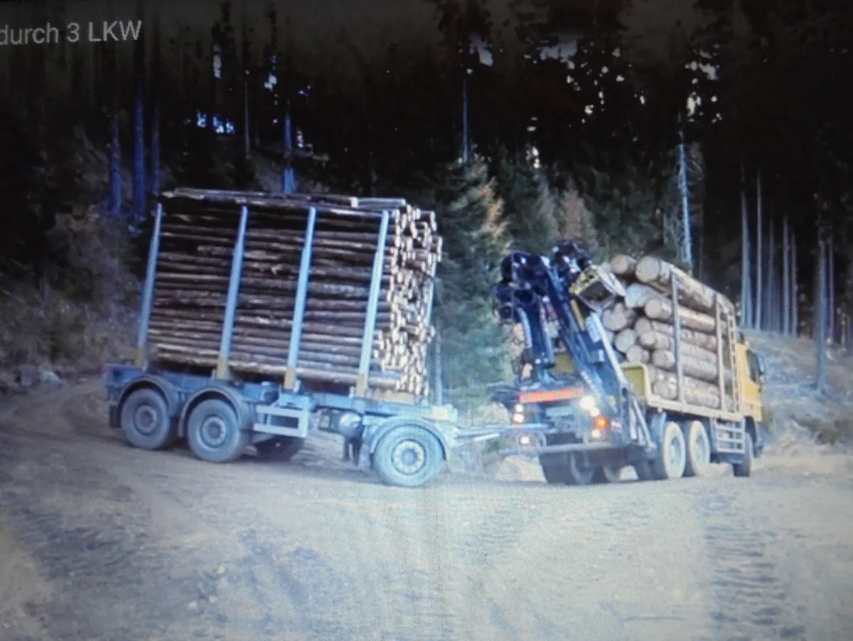 FIREWOOD. - Image 3