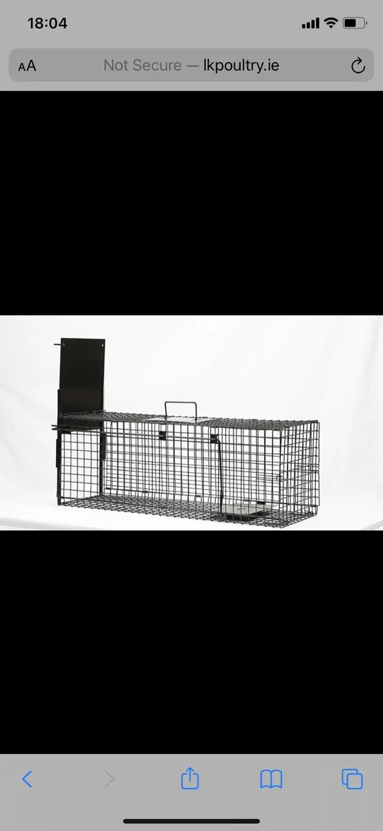 Cat Traps - Image 3