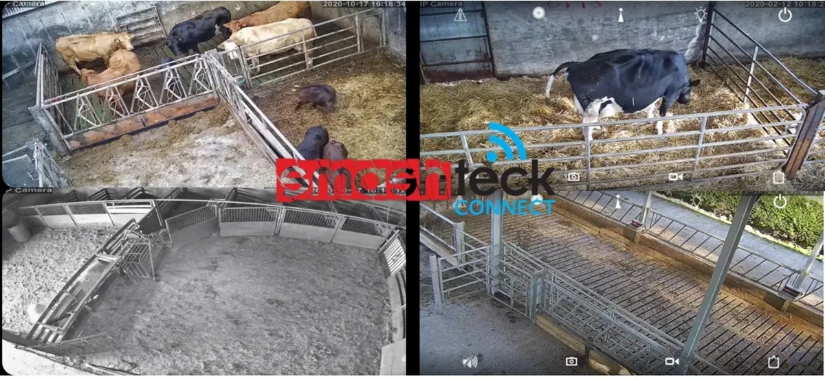 Farm Camera on your phone, Galway from €545.00 - Image 4