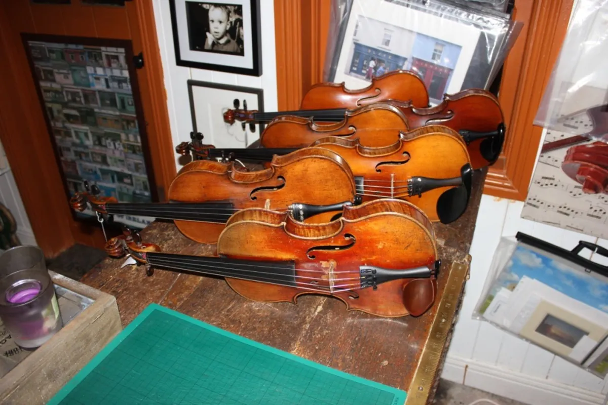 Violins - Image 1