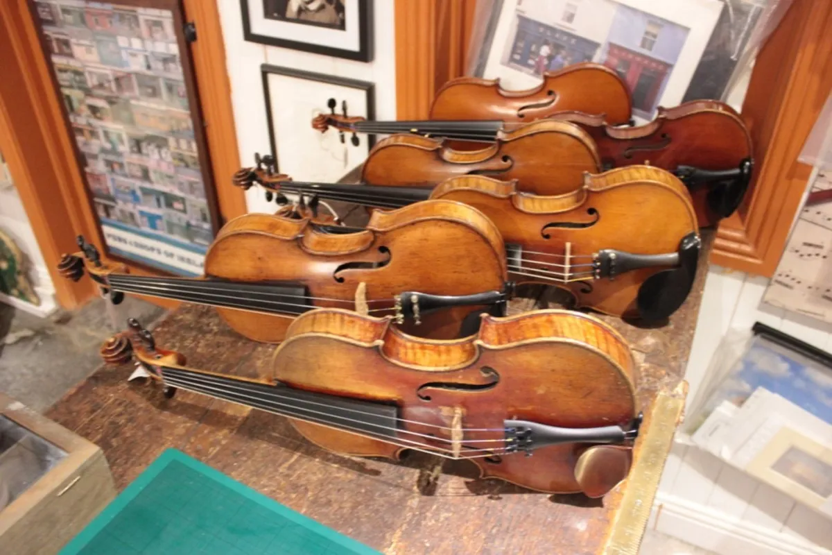 Violins - Image 2