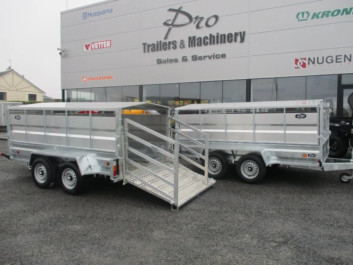 Pro trailers sheep trailer - Image 2