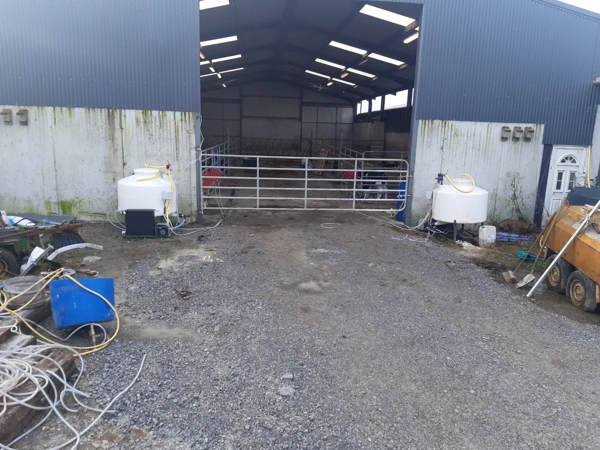 Power Automatic Calf Feeders - Image 4