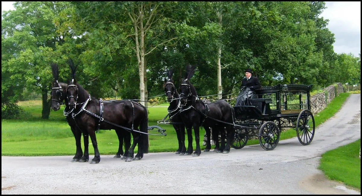 John O Grady Carriage Hire - Image 1