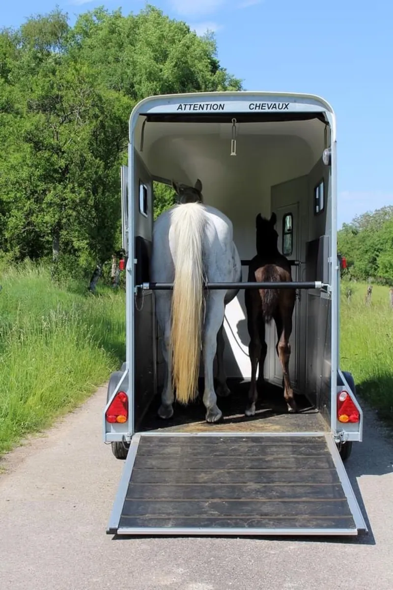Cheval Liberte touring one (mare/foal)