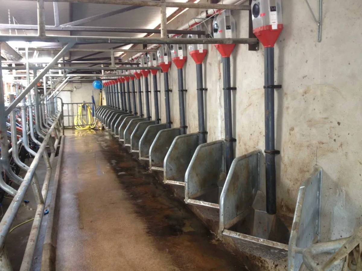 Batch feeding system for milking machines.