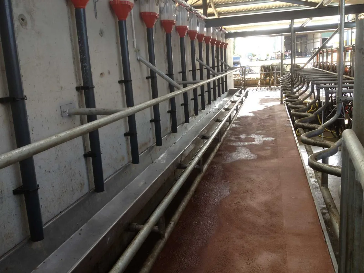 Batch feeding system for milking machines. - Image 2