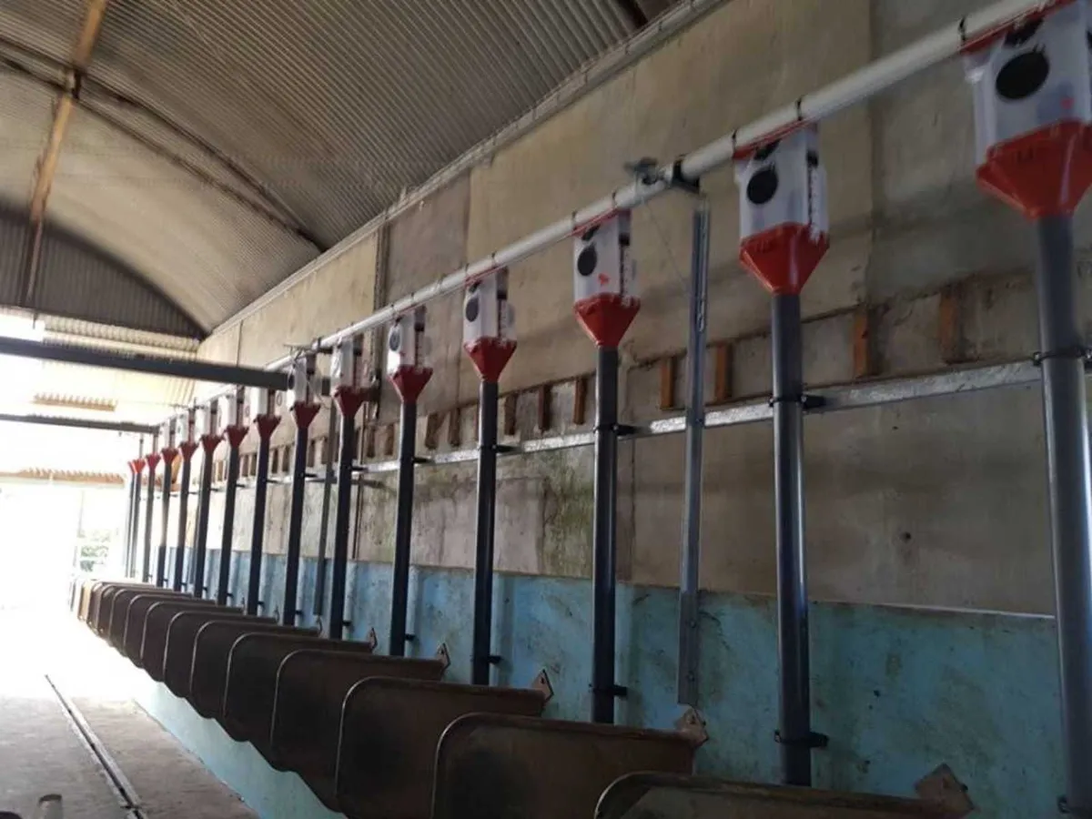 Batch feeding system for milking machines. - Image 3