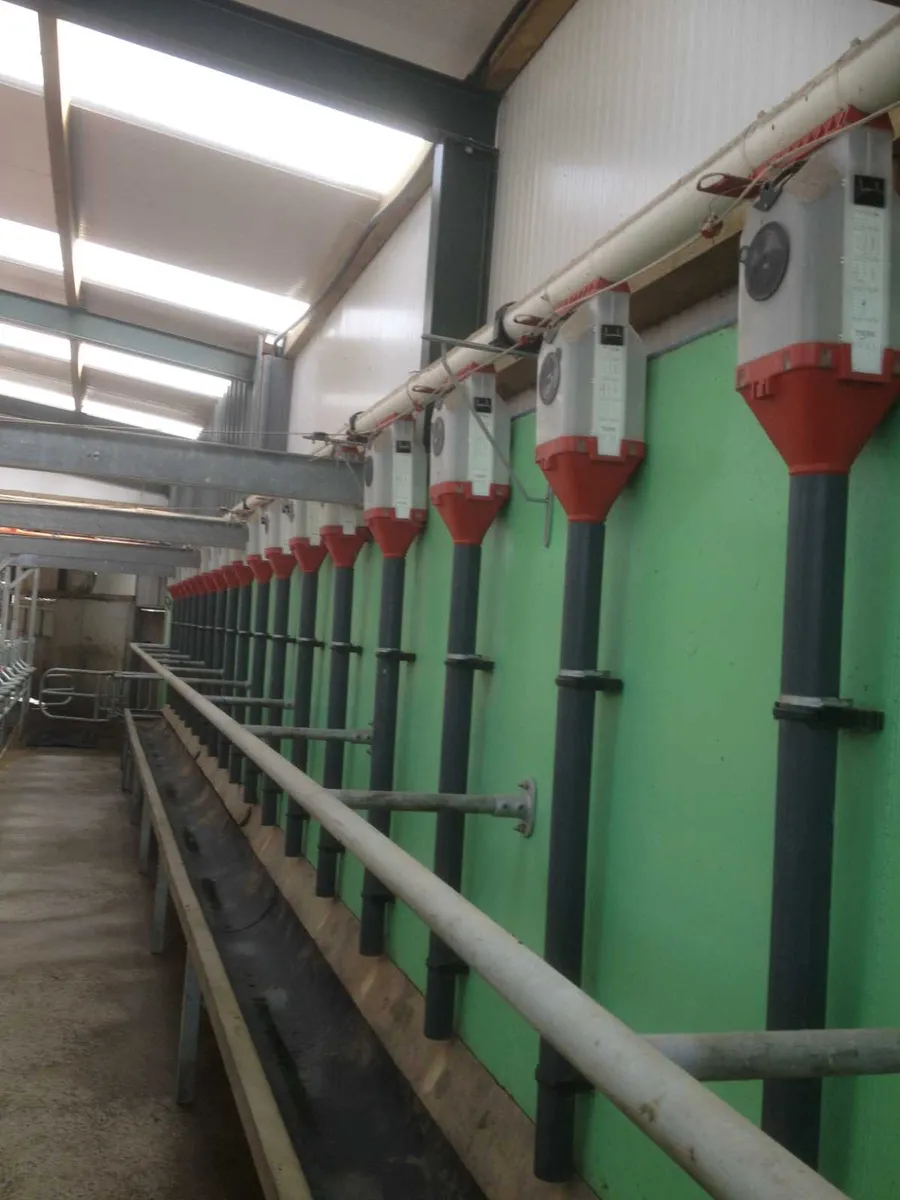 Batch feeding system for milking machines. - Image 4