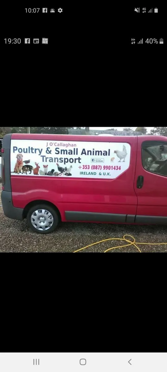 Poultry and small animal transport