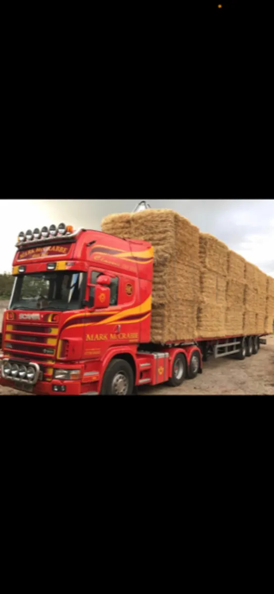 Super 2023 Hay/straw/Beet/Maize Silage