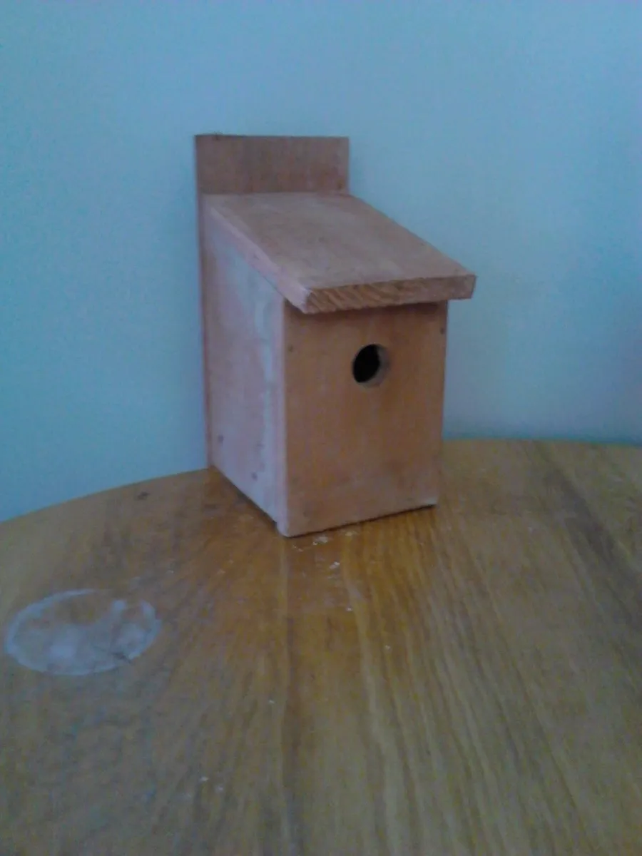 Bird,bat, bee and owl boxes - Image 2