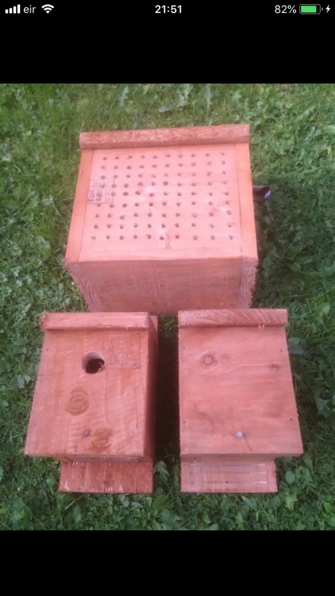 Bird,bat, bee and owl boxes - Image 3