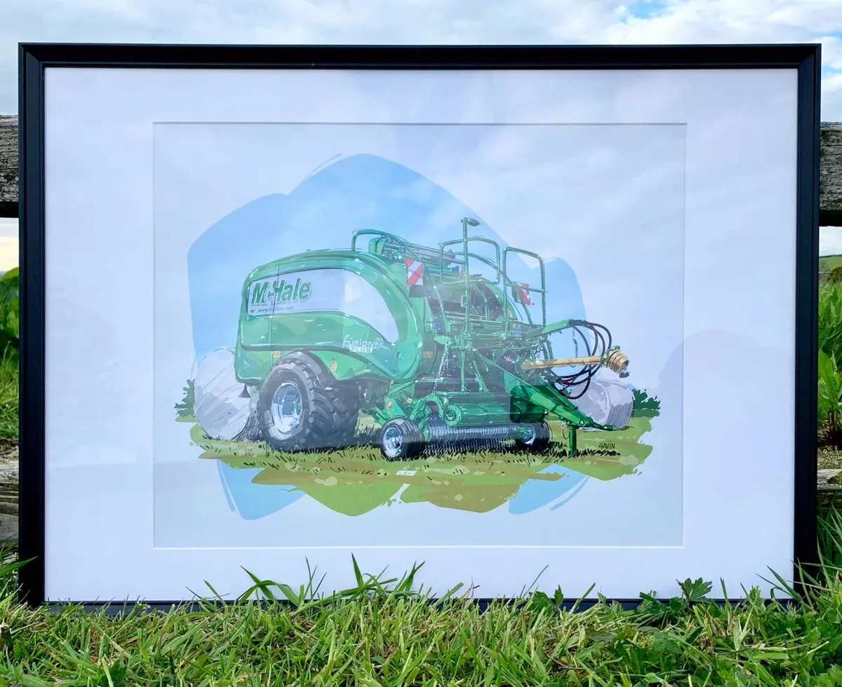 FRAMED PICTURE - McHale Fusion 3 Plus - Image 2