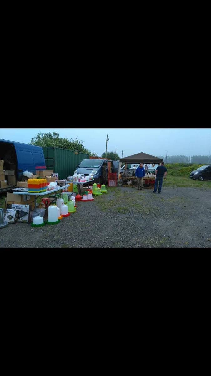 Limerick/Clare poultry sale - Image 3