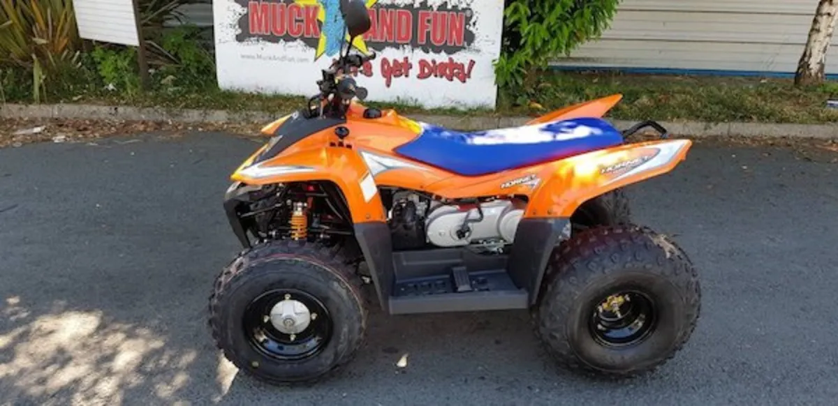 SMC HORNET 100 CC quad (2 year warranty/DELIVERY)