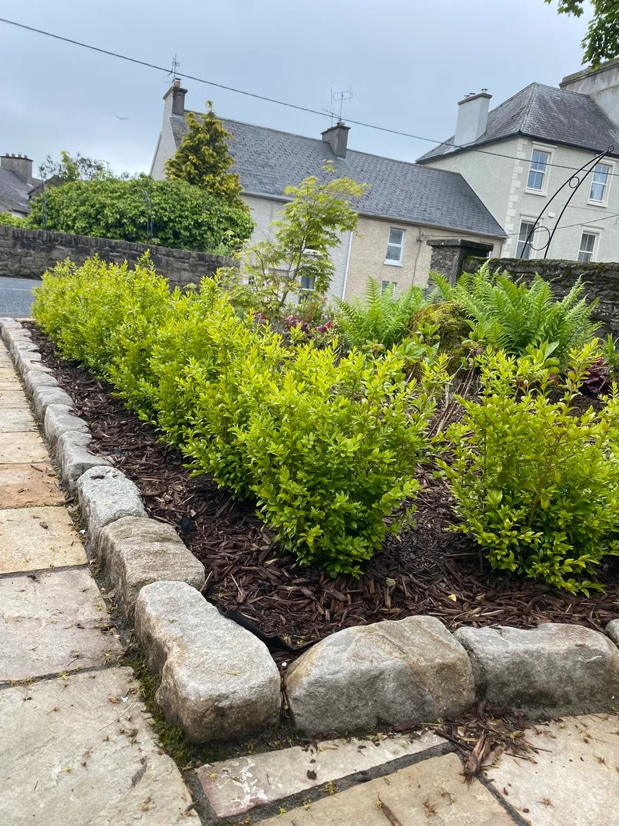 Old Salvage Reclaimed 6" Windsor Grey / Tan Kerbs - Image 3