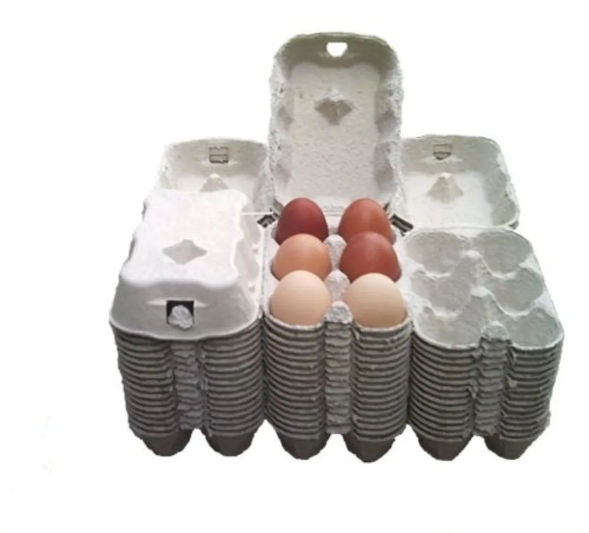 Egg Boxes, Egg Trays, Quail Boxes & Egg Stamps - Image 1