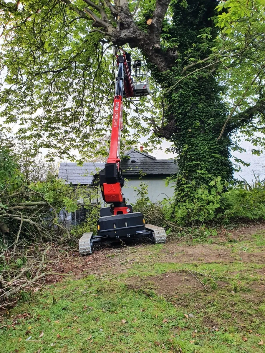 Almacrawler Rough Terrain Tracked Boom and Scissor - Image 4