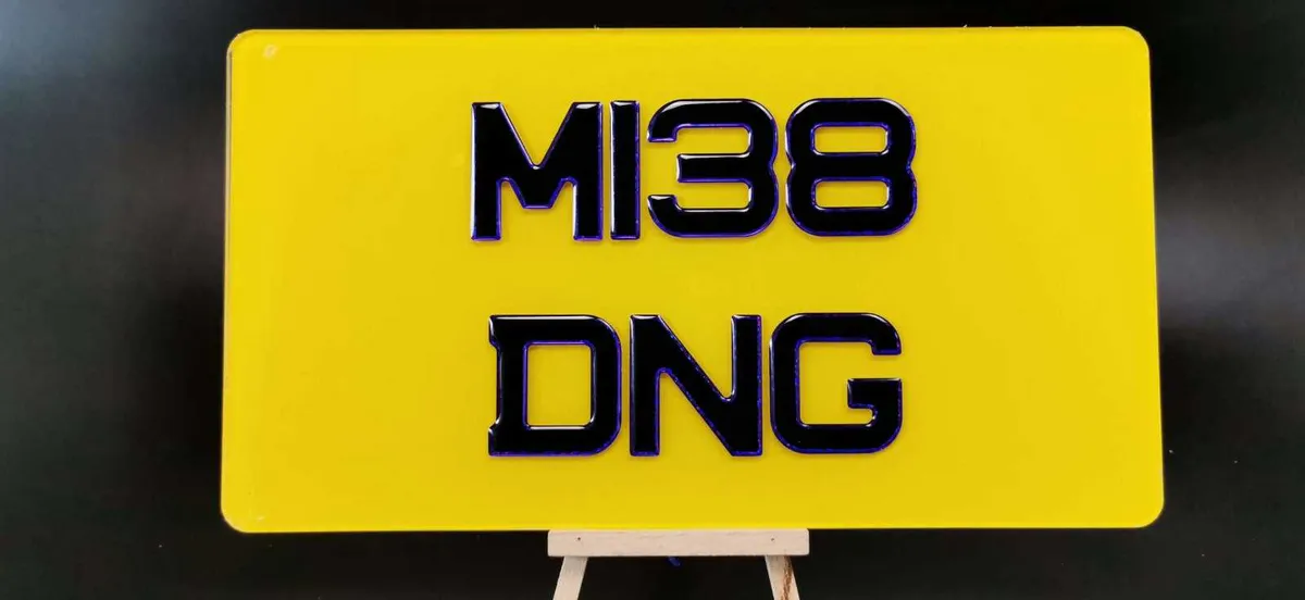 Pair of 3D Gel Purple Number Plates