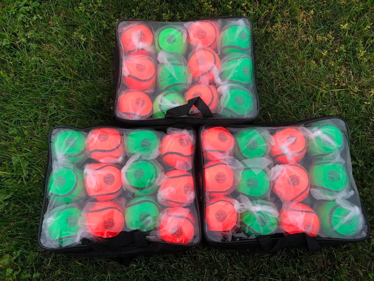 Hurling/Hurleys/Sliotars/Wall Balls/Size 4 - Image 4