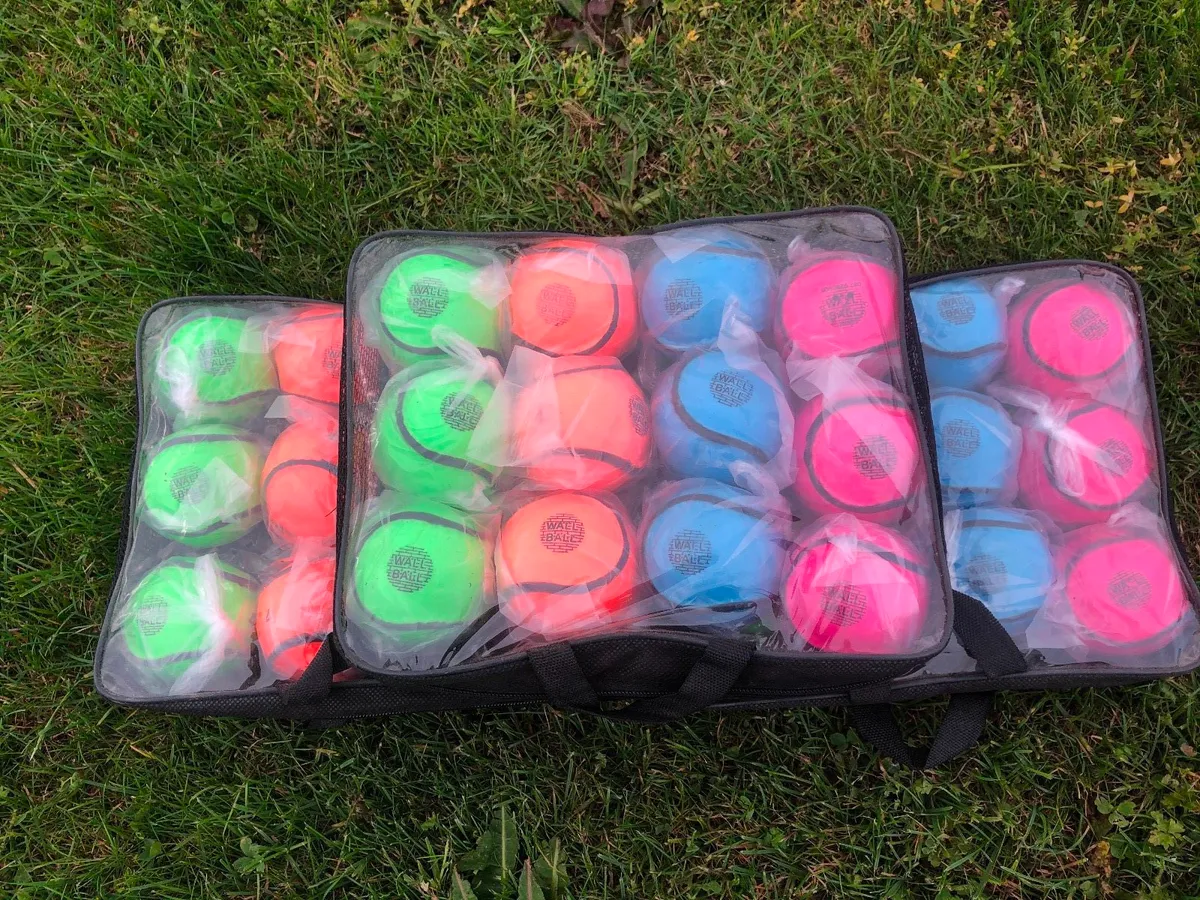Hurling/Hurleys/Sliotars/Wall Balls/Size 4 - Image 2