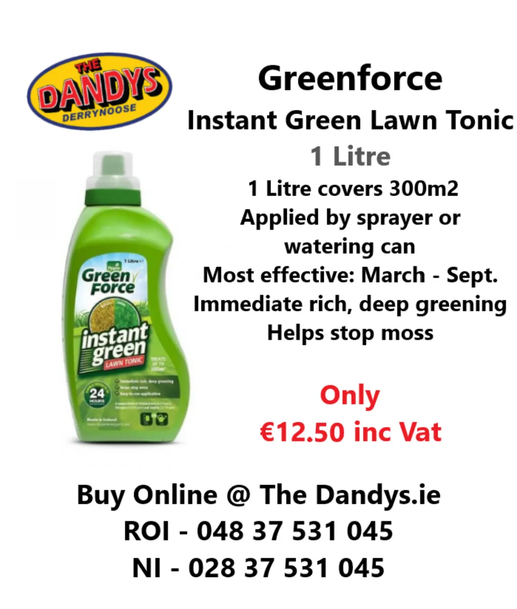 Lawn & Patio Care - Image 1