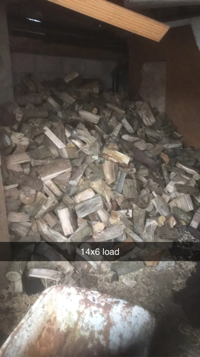 Firewood - Image 4