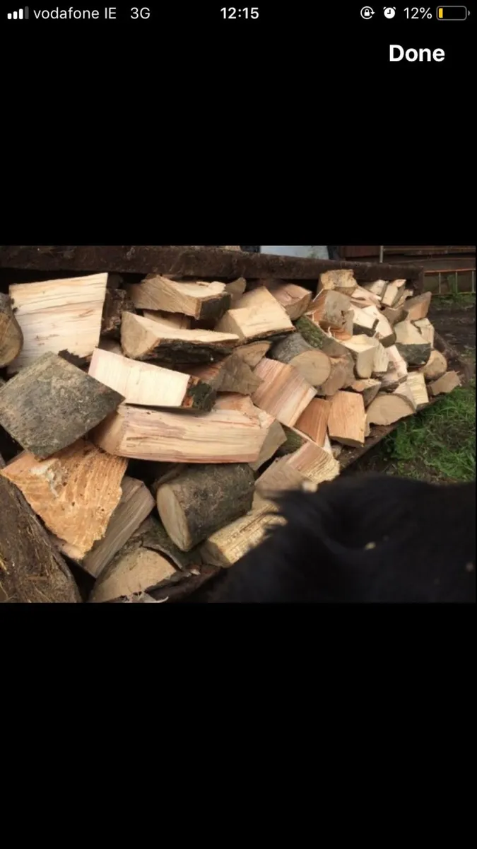 Firewood - Image 3