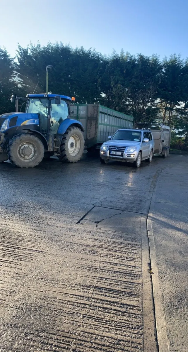 You call I haul livestock haulage - Image 4