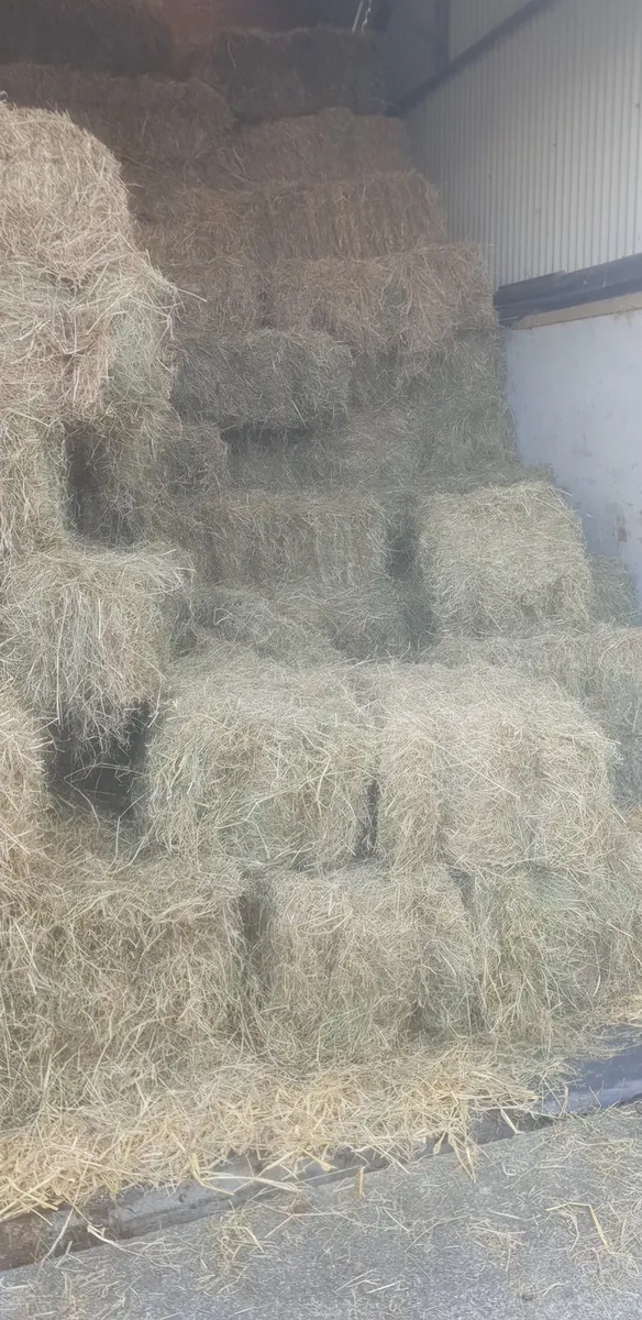 Round & Square bales of hay