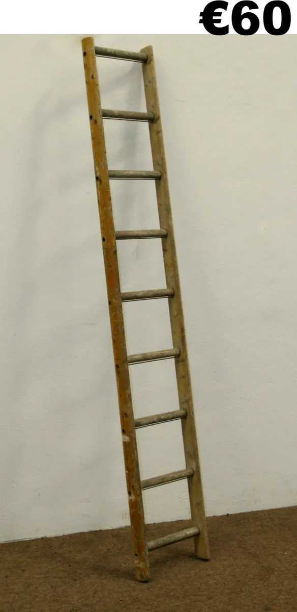 Selection of Ladders & Work platforms