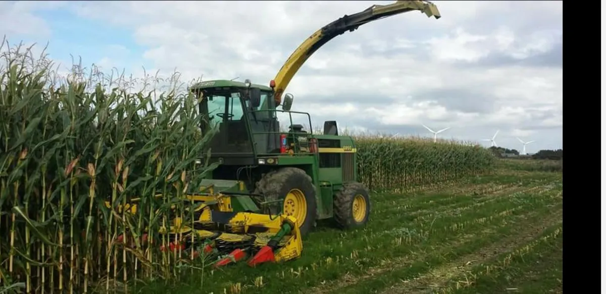 Forage Maize 🌽 Delivery nationwide