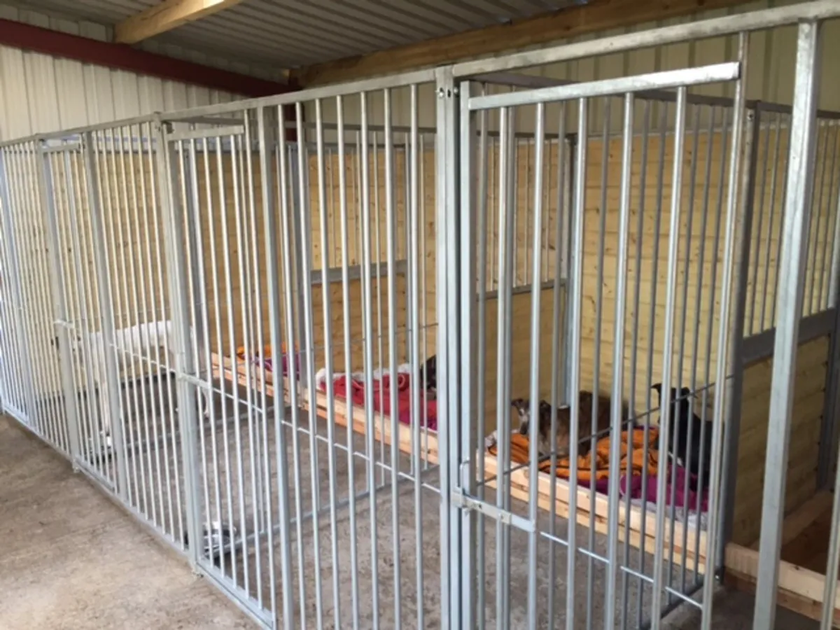 Dog Kennels, Dog Enclosures , Nationwide delivery - Image 2