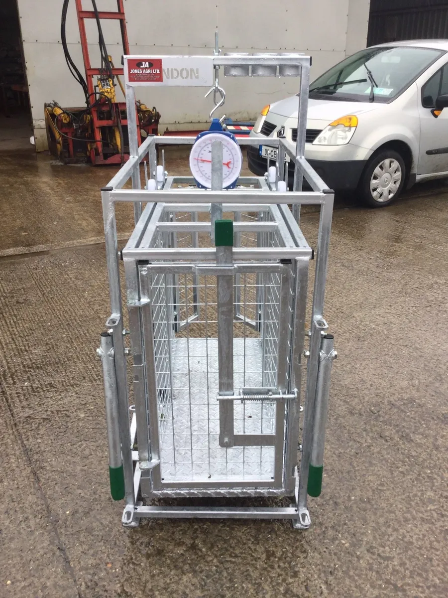 Lamb crate weighing system