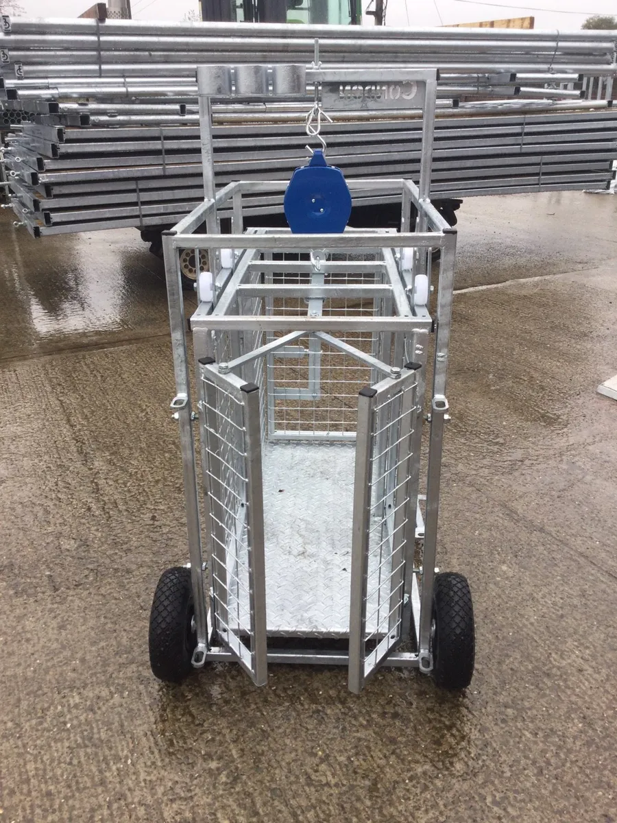 Lamb crate weighing system - Image 2