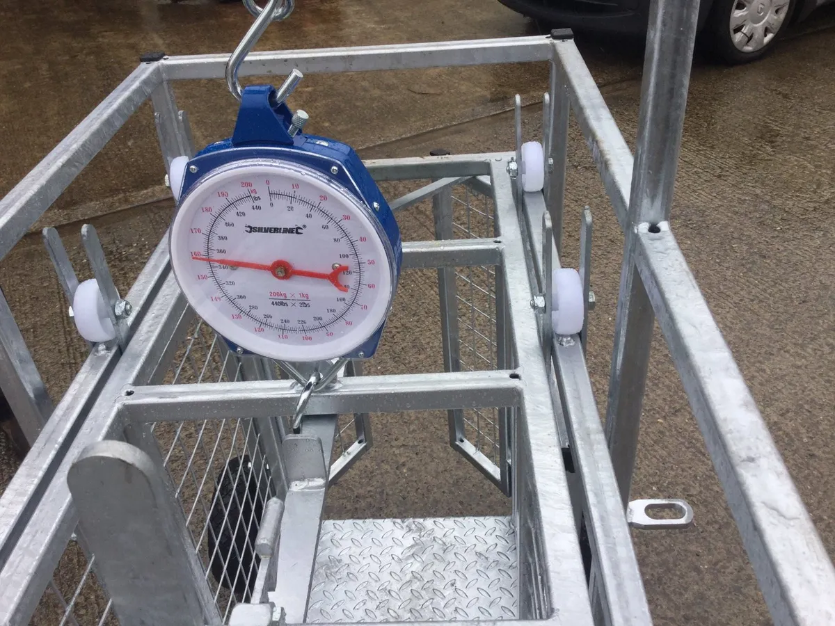 Lamb crate weighing system - Image 3