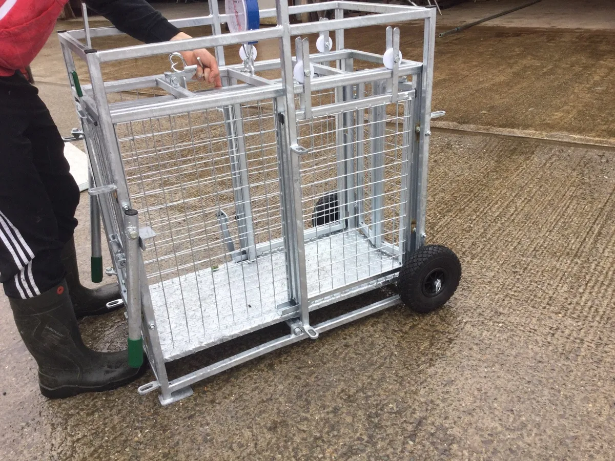 Lamb crate weighing system - Image 4