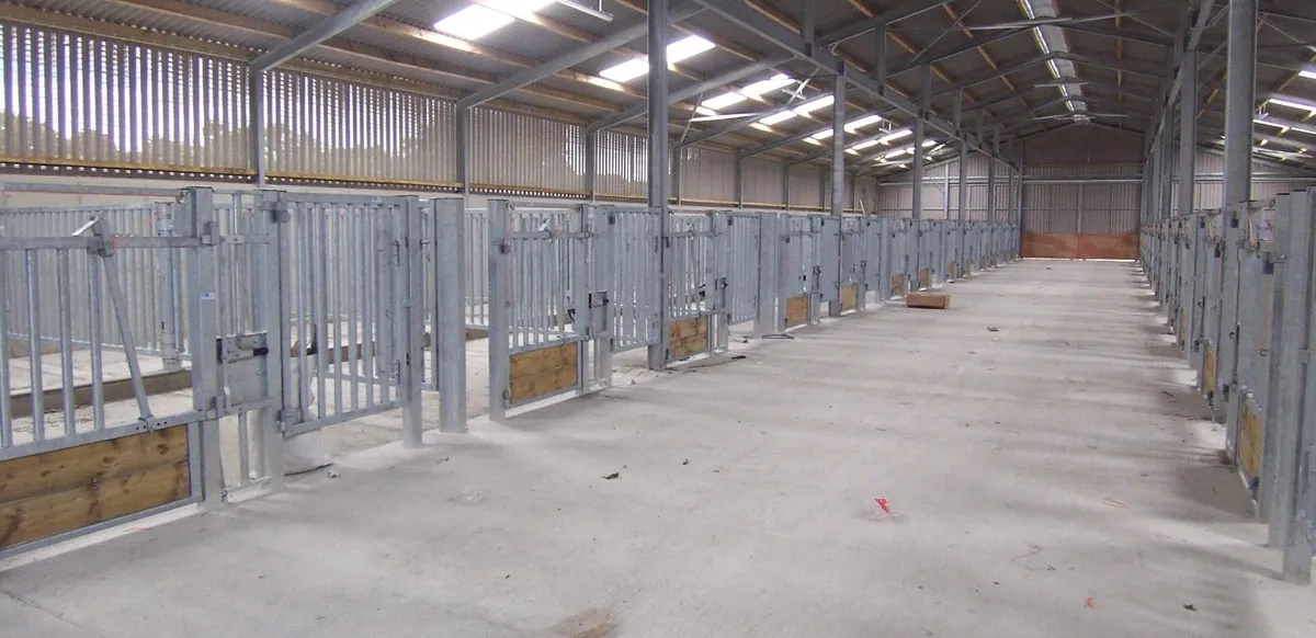 Cattle Handling and Housing