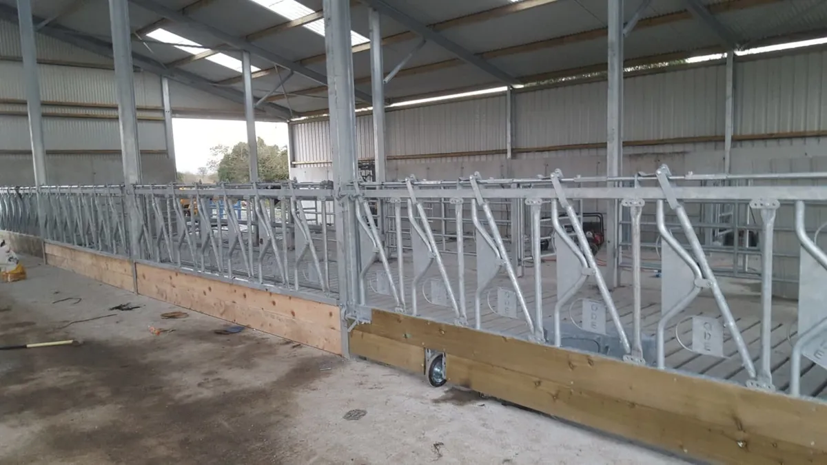 Cattle Handling and Housing - Image 4