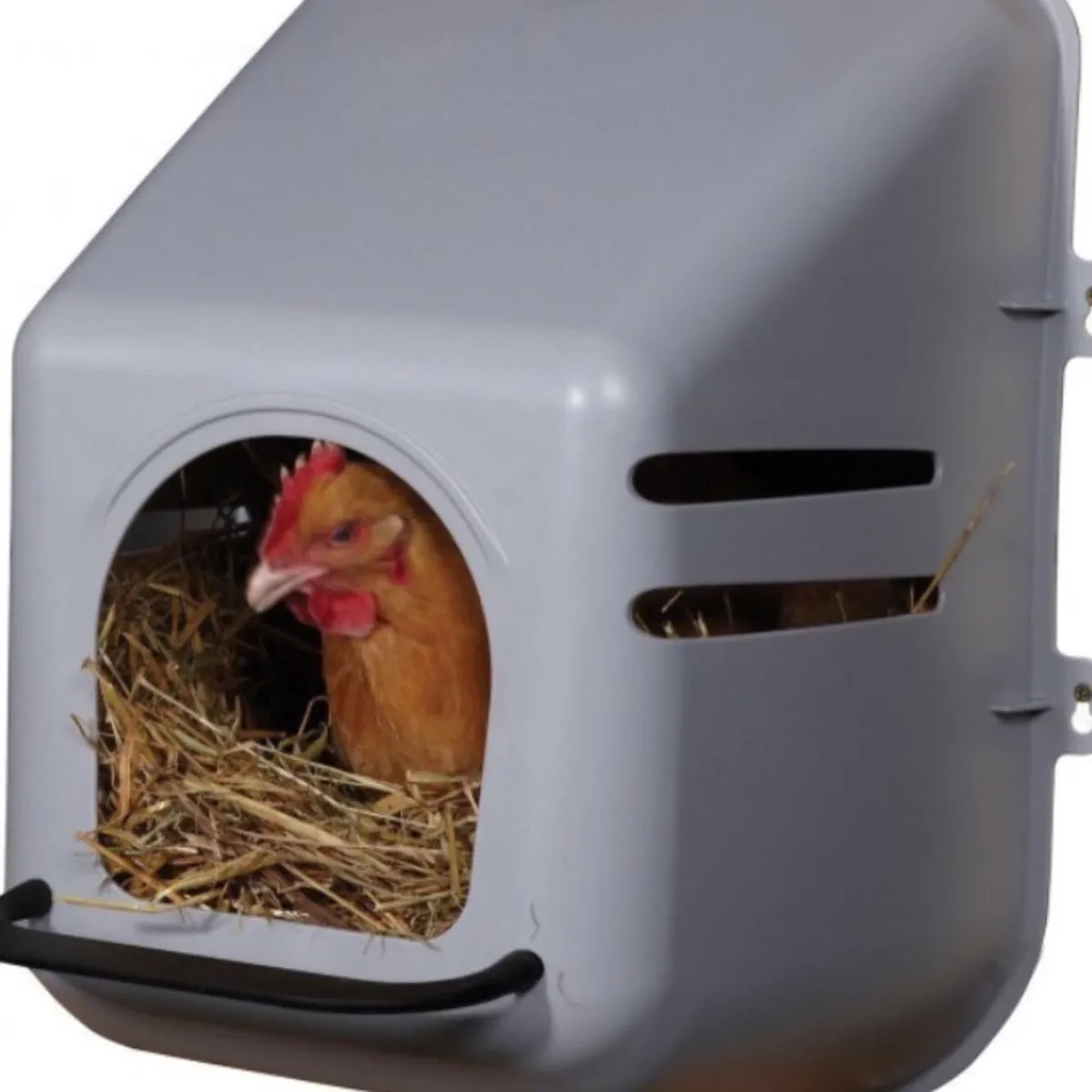 Discount Poultry Supplies. - Image 1
