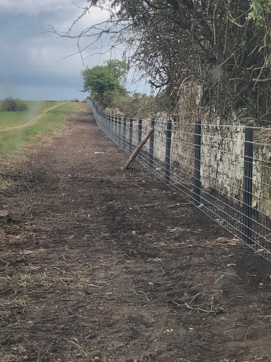 Best Selection of AGRI fencing Supplies Ireland - Image 2