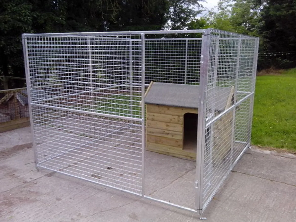 8x8' fully galvanised dog pens