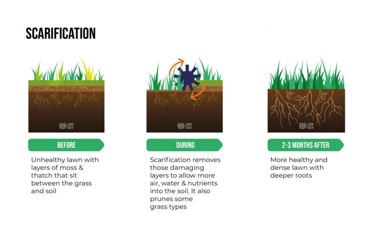 Sport Pitch Scarifying-Removes unwanted thatch etc - Image 1