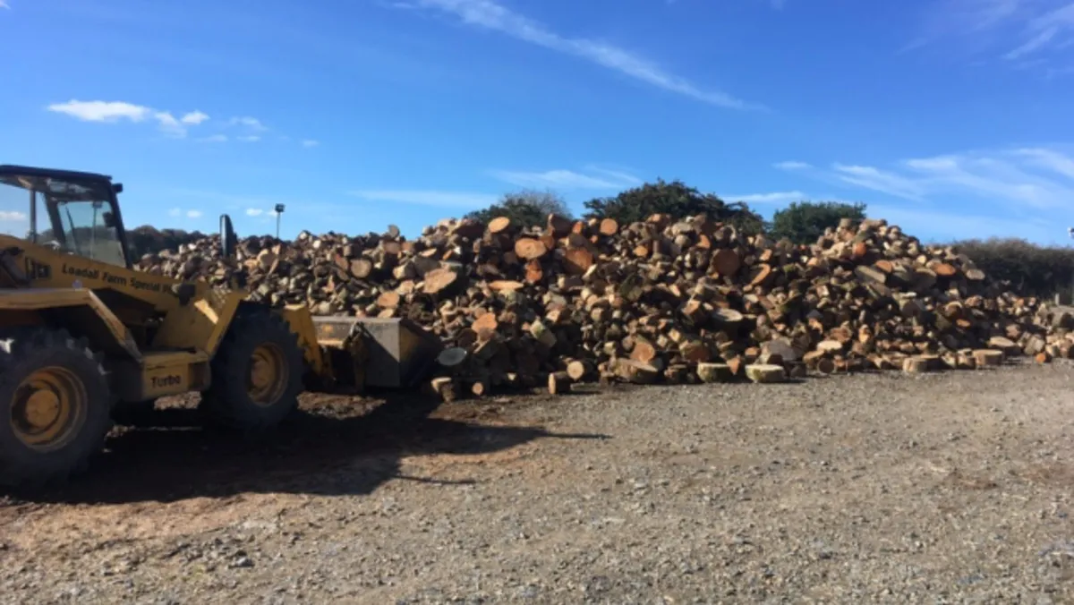 Kiln dried hardwood firewood - Image 3