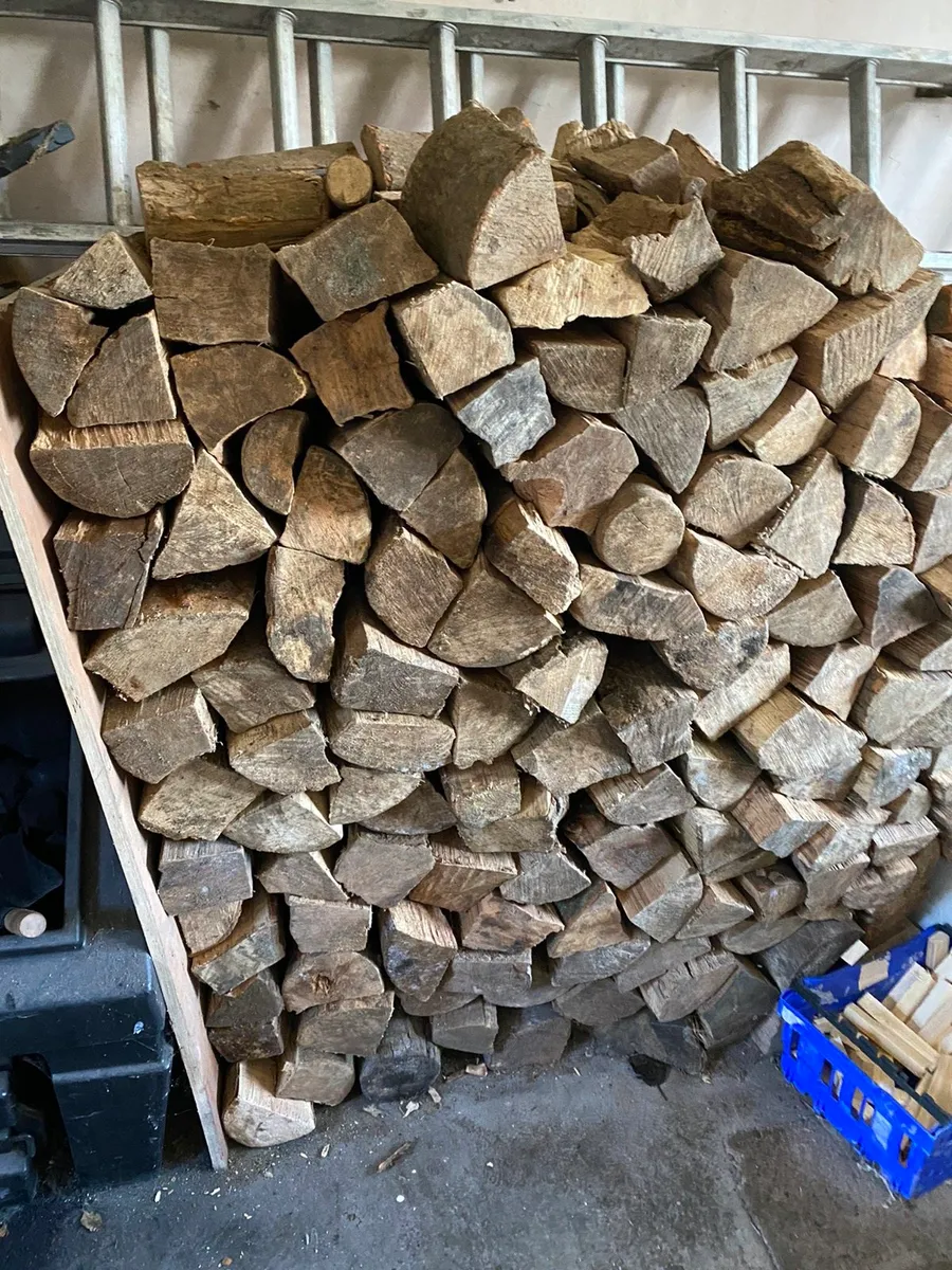 Dry hardwood firewood - Image 4