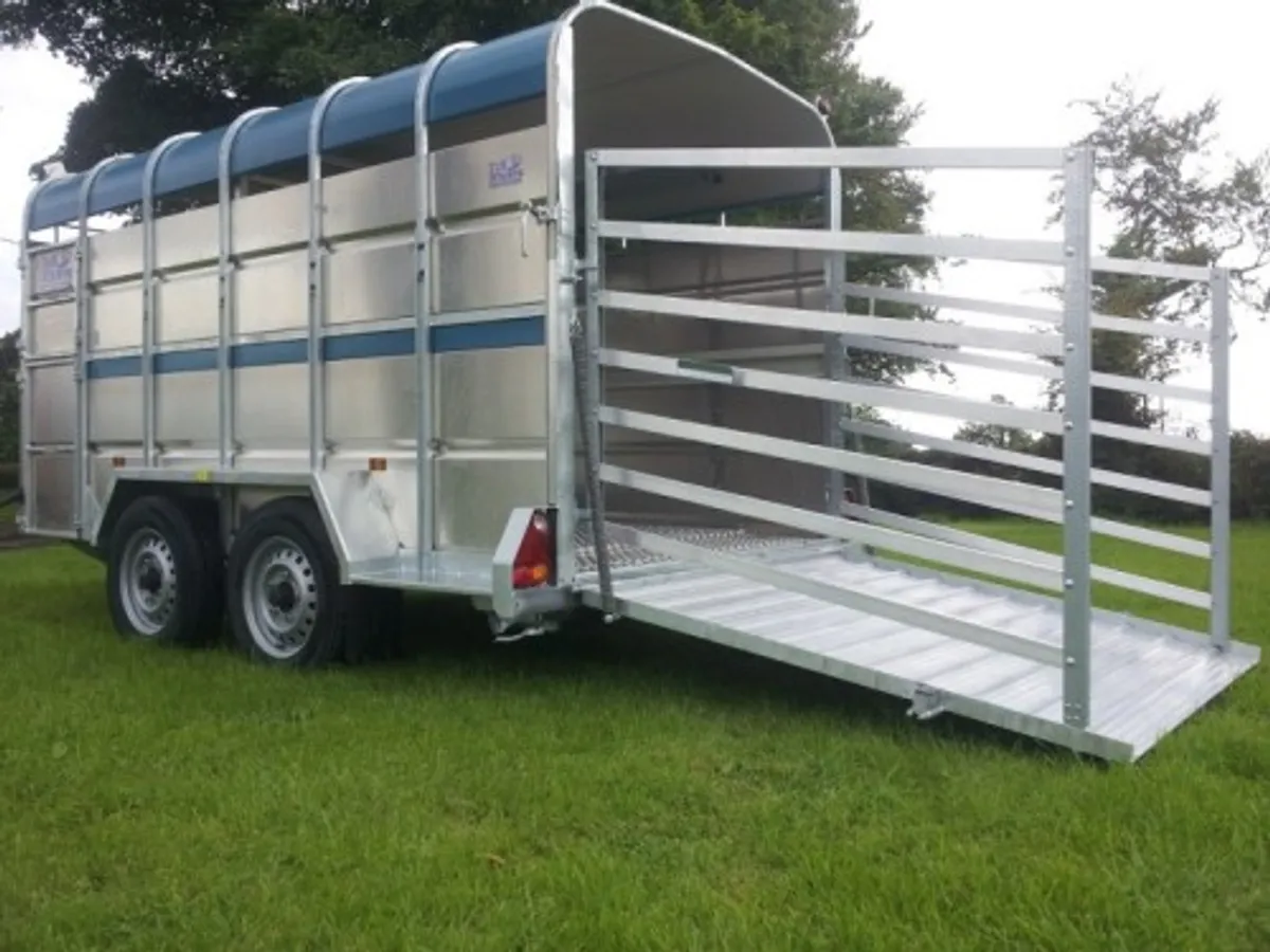 TUFFMAC  12x6 TRAILER €35 PER WEEK - Image 2