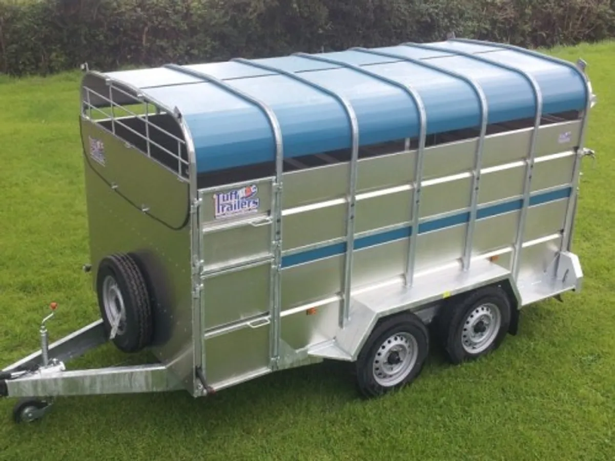 TUFFMAC  12x6 TRAILER €35 PER WEEK - Image 3